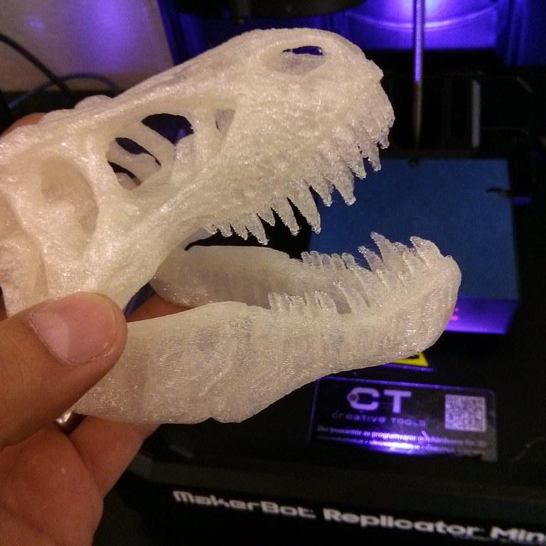 A 3D-printed T-rex skull